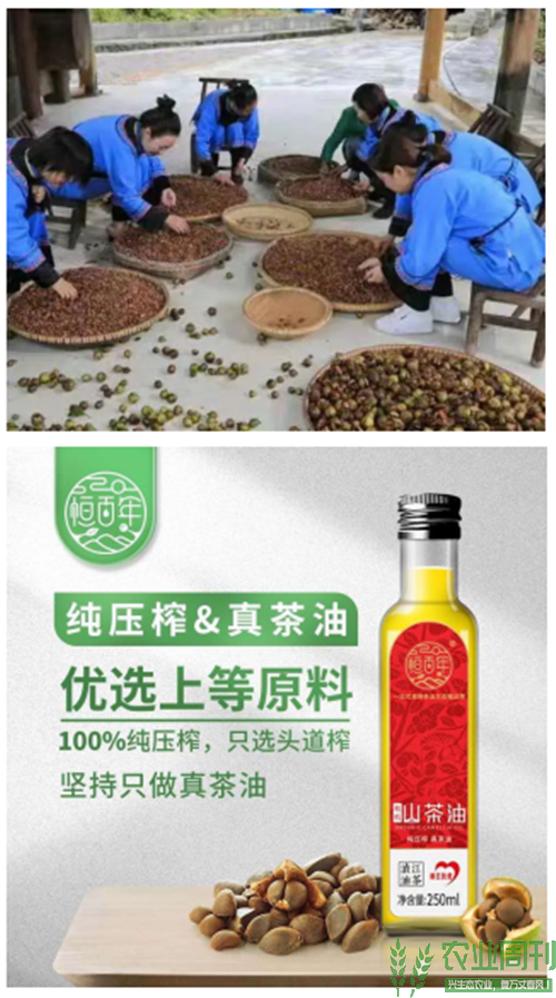 图片12.png