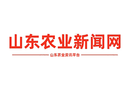 MSD通证技术助力满星云集团农产品大丰收